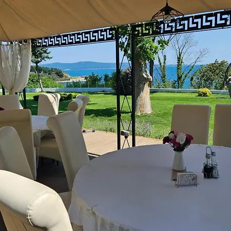 Hotel Dodo (adults Only) 4*